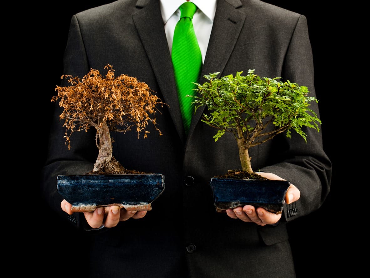 Terzo errore Simone Palmieri Gardens and Landscapes