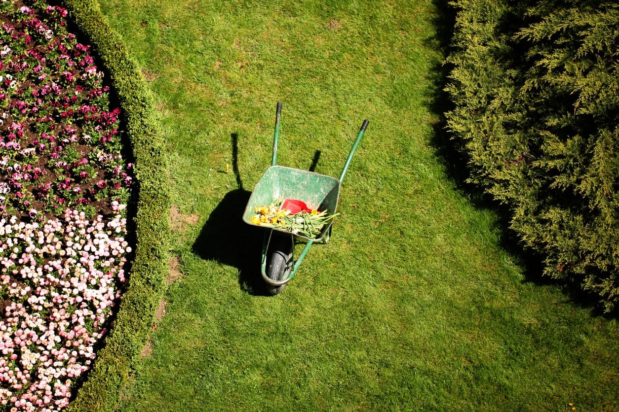 Quarto errore Simone Palmieri Gardens and Landscapes